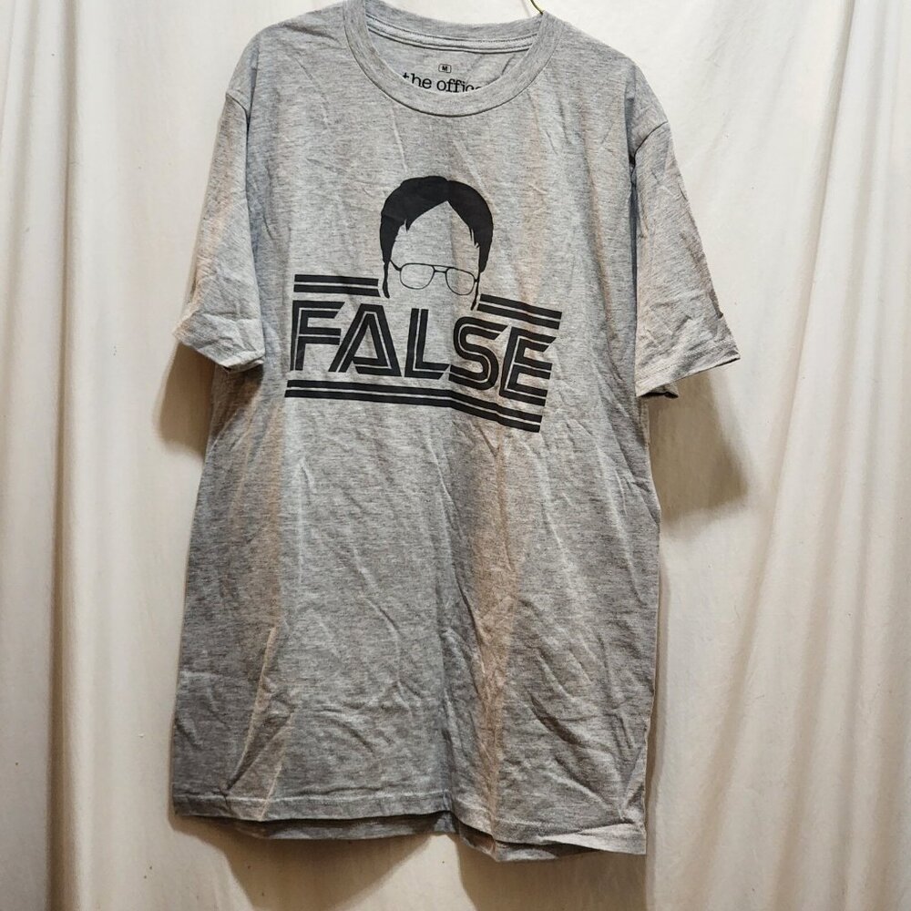 Ripple Junction The Office Dwight Schrute FALSE Gray Graphic T-Shirt Mens M